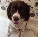 Millie Mansfield - Facebook