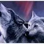Silverwolf70 - @mildredmarinaccio4 - TikTok