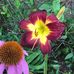 Mildred Mccall - Facebook