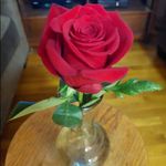 Mildred McCall - @woyeris155 - Instagram