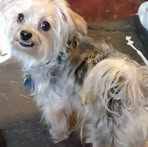 Mildred McCurdy - Facebook