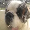 mrdmcgrath - @mrdmcgrath - TikTok