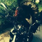 Mildred's Meadows Farm - @mildredsmeadowsfarm - Instagram