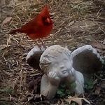 @mildred.morgan.16 - Instagram