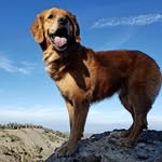 Mildred A Morrison - @mildredamorrison - Instagram