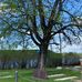 Mildred North Cemetery - Facebook