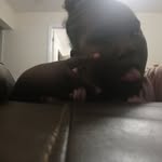 Mildred Peterson - @mildredpeterson805 - Instagram