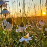 Mildred Peterson - @mildredpeterson467 - Instagram