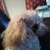 Mildred Phelps - Facebook