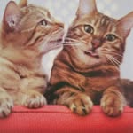 Mildred Quick - @mildredquick.spamm - Instagram