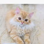 Mildred Reed - @mildredreed7528 - Instagram