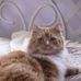 Mildred Ryan - Facebook