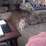 Mildred Shaffer - Facebook