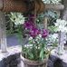 Mildred Shank - Facebook