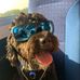 Millie Smallwood - Facebook
