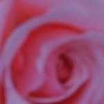 Mills - @mildredsmith__ - Instagram
