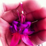 Mildred Spears - @vectocsha - Instagram