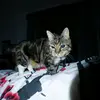 Prague - @prod.milesprague - TikTok