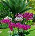 MyMilly M Stubbs - Facebook