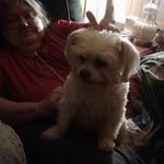 Mildred Todd - @mildred.todd.564millie_todd - Instagram