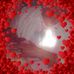 Millie Tunstall - Facebook