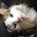 Milly Tunstall - Facebook