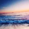 mildredwarner - @meymey.032 - TikTok