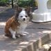 Mildred Webb - Facebook