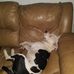 Mildred Whitaker - Facebook