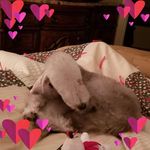 Mildred Wright - @pollyd1933 - Instagram