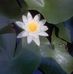 Miglena Bogdanova - Facebook