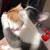 Milena Boyanova - Facebook