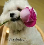 Milene Hernandez - Facebook