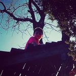 Miles Adams - @milesjadams - Instagram