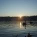MA Adcox - Facebook