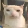 Miles Bailey - @miles.bailey0 - TikTok