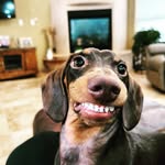 Miles Bailey Longfellow III - @miles.bailey.longfellow.iii - Instagram