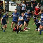 Myles Baird - @baird23 - Instagram