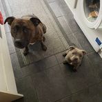 Miles Ballard - Facebook