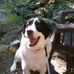 Miles Long Barfield - Facebook