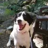 mileslongbarfield - @mileslongbarfield - TikTok
