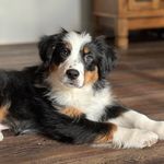 Miles Barker - @miles.barker3 - Instagram