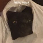 Miles - @miles_barkerr - Instagram