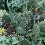 Victoria Miles & Mitch Barron - @mnv_nurseries - Instagram