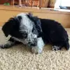 milesbartlett471 - @milesbartlett471 - TikTok