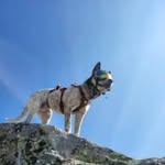 miles baxter - @milesbaxter_ - Instagram