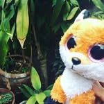 MilesBeanie - @milesbeanie - Instagram