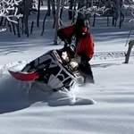 Miles Beck - @milesloybeck - Instagram