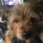 Cindy Miles-Becker - @cindymilesbecker - Instagram