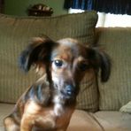 Miles Belcher - Facebook